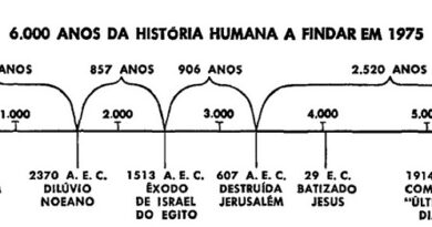 7000 anos por dia criativo