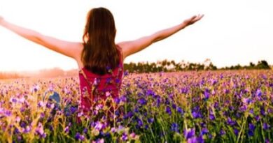 Equilíbrio após Desilusão