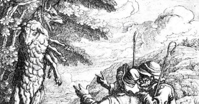 Lobo em pele de cordeiro